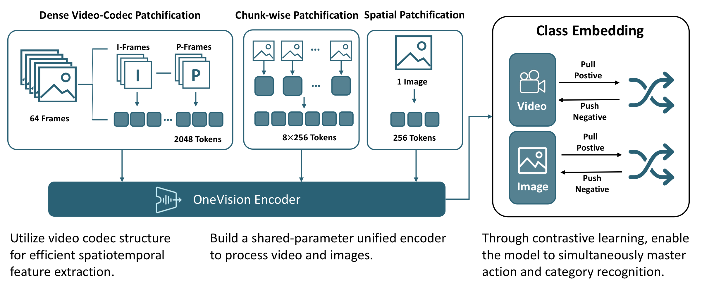 OneVision-Encoder architecture overview